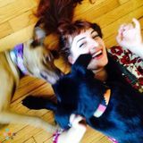 Friendly, Energetic, Dog Walker/Cat Sitter Available at Reasonable Price-Bucktown/Wicker Park/Lincoln Park