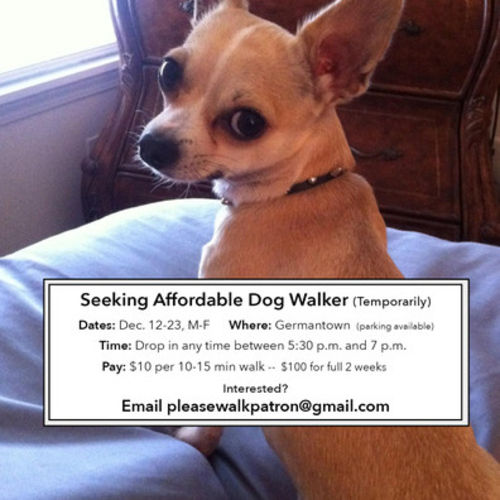 Pet Care Job Nikki McGee's Profile Picture