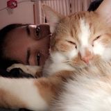 Im a very honest and loyal person and have a lot of experience when it comes to pets. I also have 5 very spoiled cats.