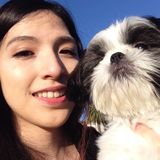 Honest Pet Carer in Mountain View, California