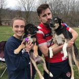 Searching for Joliet Dog Sitter Jobs