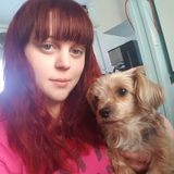 Brandys Doggie Daycare in Red Deer