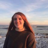 Hello! I'm a local student interested in keeping your house clean!