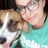 Available For an Animal Caregiver Job in Athens, Ohio