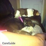 Need house dog sitter
