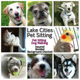 Pet Sitting You Can Trust