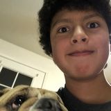 Livermore Pet Trainer Interested In Work