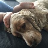 Looking for a part-time nanny