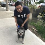Well Trained House Sitter in Maspeth, New York