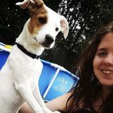 Furry Paws Pet Care Services