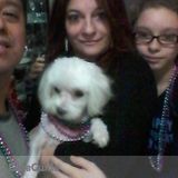 Furbabyluv