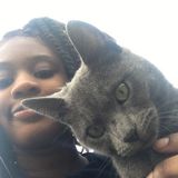 Looking For a Pet Service Provider Opportunity in Gaithersburg