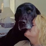 Pet sitter/dog walker
