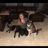 Gainesville Petsitter Available For Being Hired