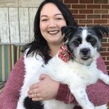 Love all animals. Looking for animal job!