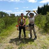 Detailed Yard Work and Garden Care