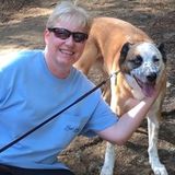 Pet sitter