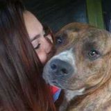 Interested In a Pet Care Provider Job in Sacramento.