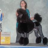Available: Honest Pet Service Provider in Milford, Massachusetts