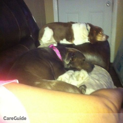 Pet Care Job Sherry W's Profile Picture