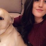 Well Trained Pet Groomer for Hire