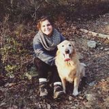 Holiday House Sitter Available