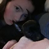 Aurora Pet Care Provider Searching for Work in Illinois