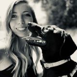 Insured + Certified in Pet CPR & First Aid!