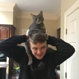 The best care for your best friend. Fairfax area dog walker and pet sitter