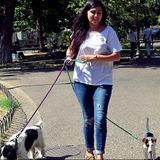 Experimented Dogwalker in Montral