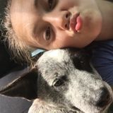 Im Tessa, and I would like to take car of animals in Shelby or Boiling Springs Nc.