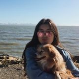 Qualified Dog Walker/Sitter for Hire