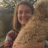 Available: Dog sitter who will love your dogs (almost) as much as you do!