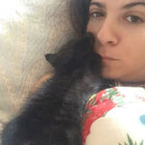 Pet and house sitter available