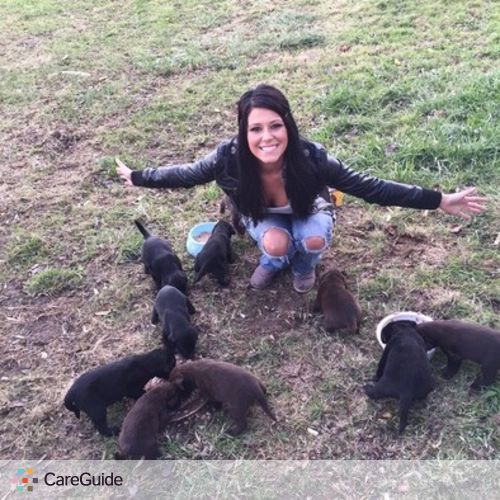 Pet Care Provider Seren Marshall's Profile Picture