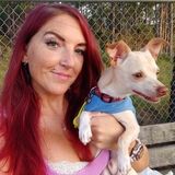 Trustworthy, Reliable Animal Loving House Sitter