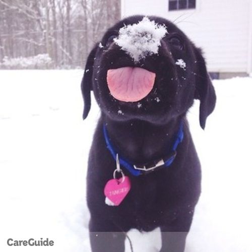 Pet Care Provider Kiara Gonzalez's Profile Picture