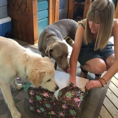Pet Care Provider Tammy C's Profile Picture
