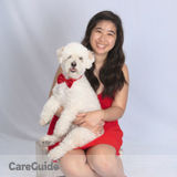 Dog Walking and More