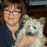 Burnsville Home Sitter Interested In Job Opportunities