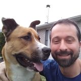 Needed: A part time dog walker.
