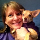Hi! I'm Shelley and I am available to assist folks that need some caring for their dogs or cats or both. My time is flexible.