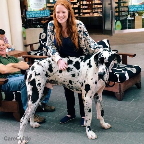 Pet Care Provider Siobhan M's Profile Picture
