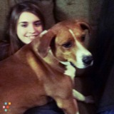 Dog lover! Good with all animals.