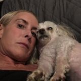 Loving dog sitter
