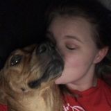 Southern Pines pet caretaker looking to be hired