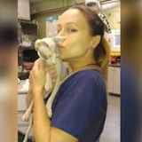 Experienced Veterinarian Technician Offering Pet Sitting, Dog Walking, and various other animal services