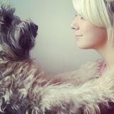 Searching for afternoon Pet Jobs near West Dundee, Illinois