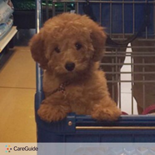 Pet Care Job Michele R's Profile Picture