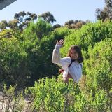 A kind and flexible, animal loving person looking for opportunities to walk and/or pet sit pets around Redondo Beach